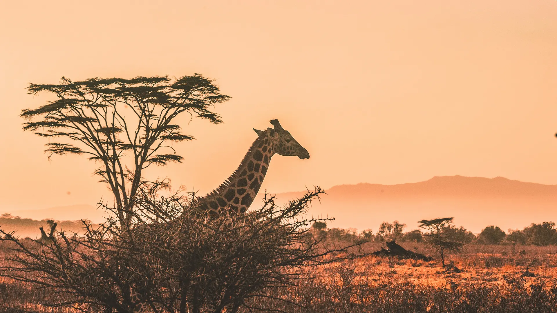 Aventura por el Sur de África